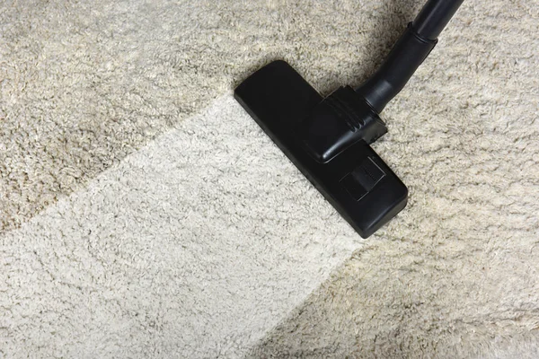 Carpet Cleaning Service